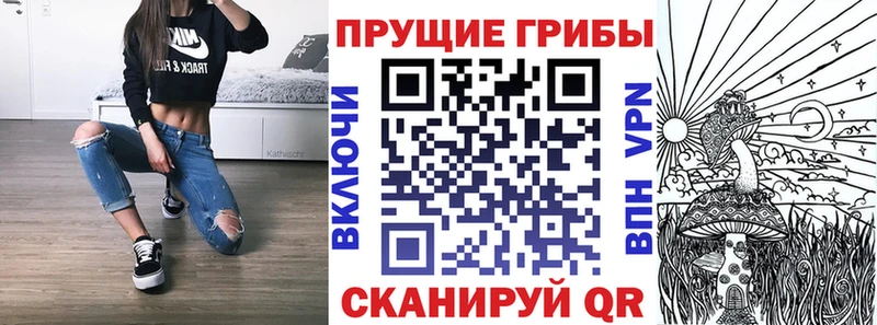 Галлюциногенные грибы Magic Shrooms  купить наркоту  Юрьевец 